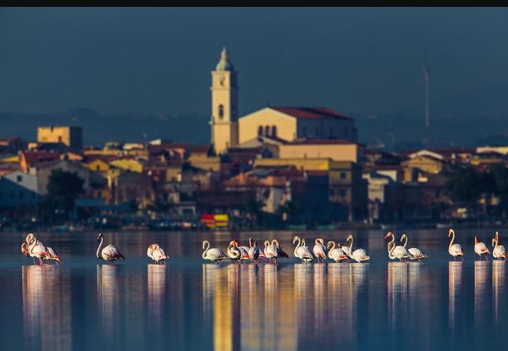 Casale Villa Giulia Marina Di Lesina Εξωτερικό φωτογραφία